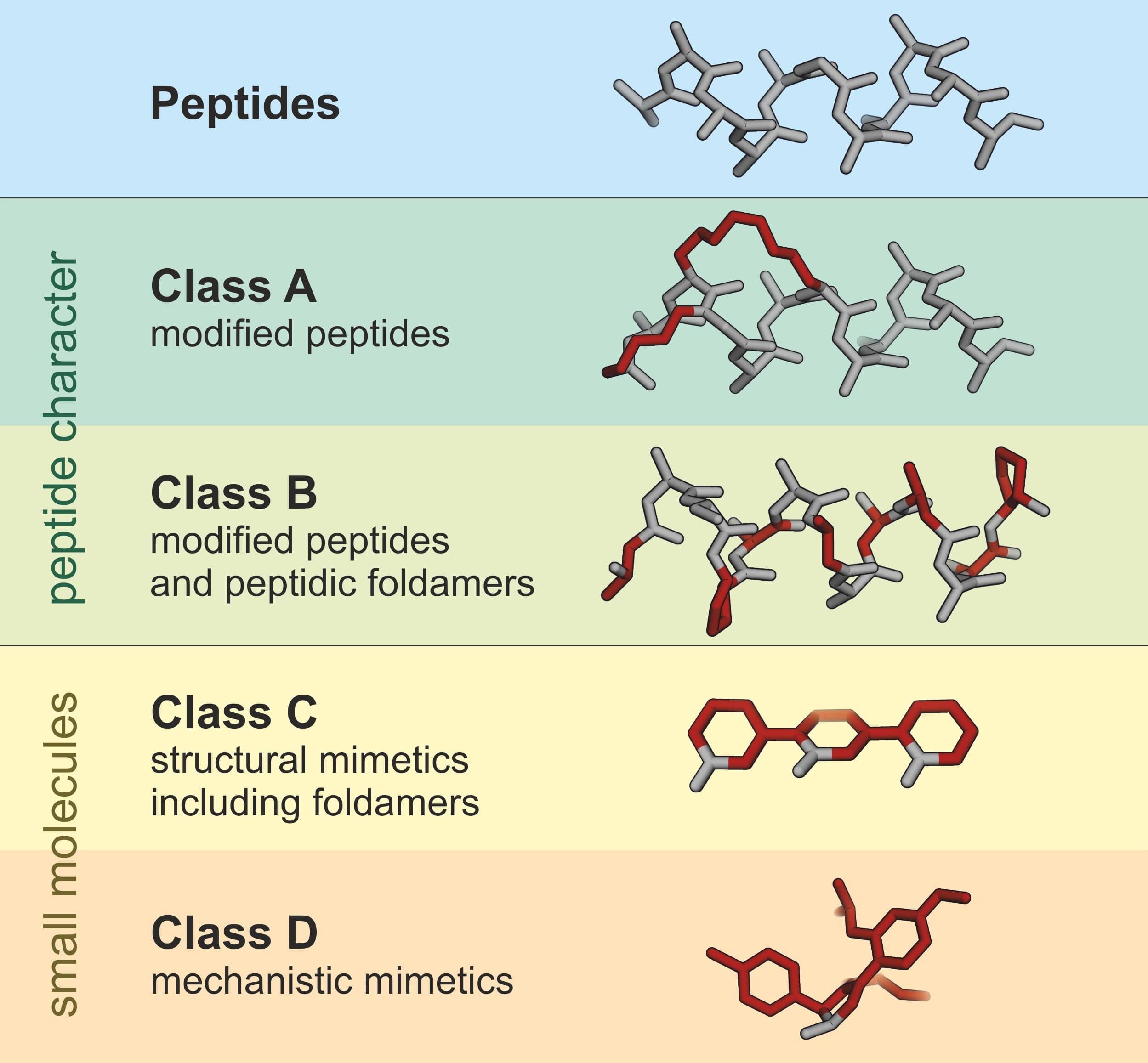 Inside the BioEdge QC Pipeline: How a Batch Earns the Label